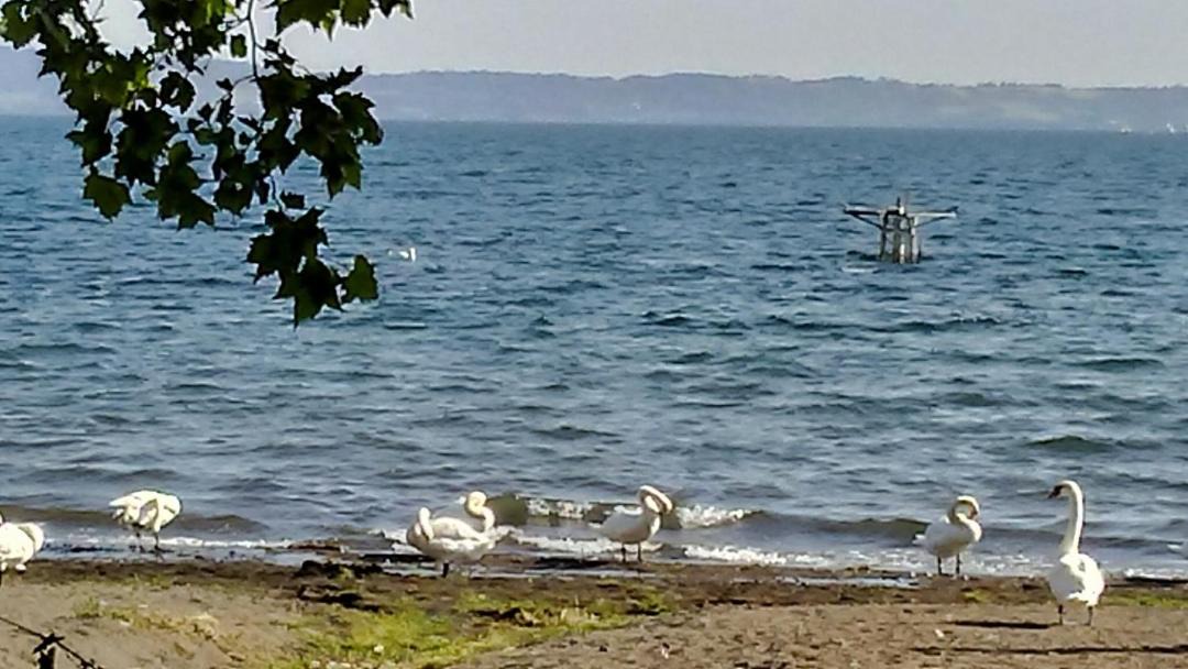 Photo of Others in Lake Bracciano
