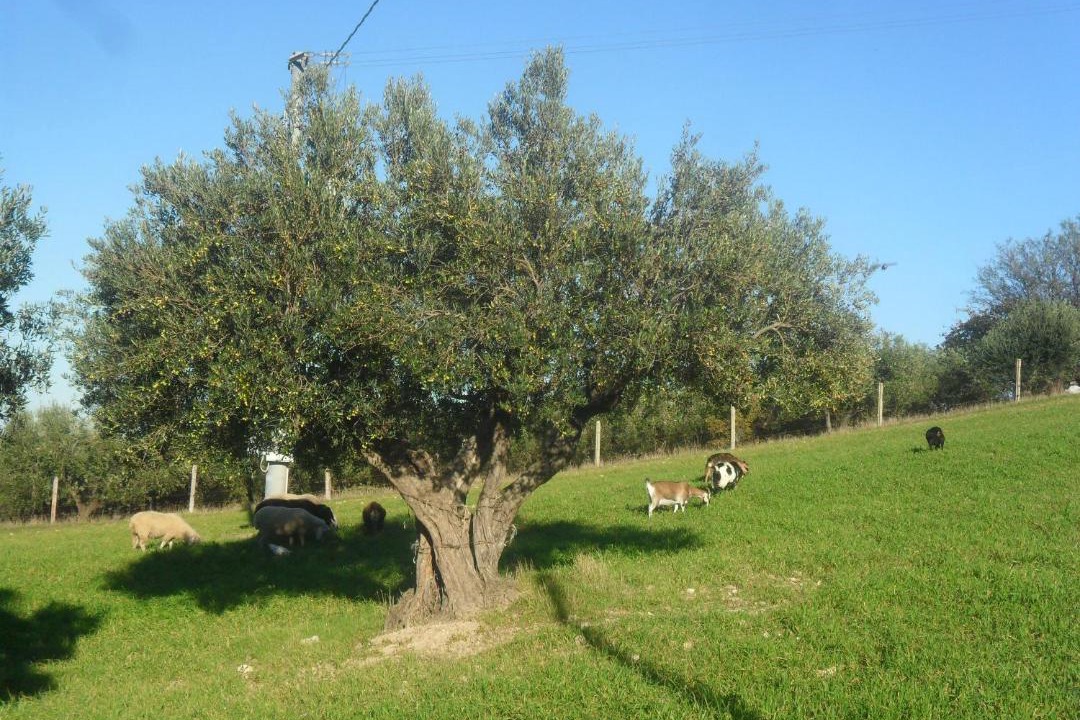 Photo of Others in Mafalda
