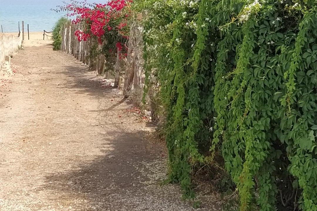 Photo of Others in Portopalo di Capo Passero