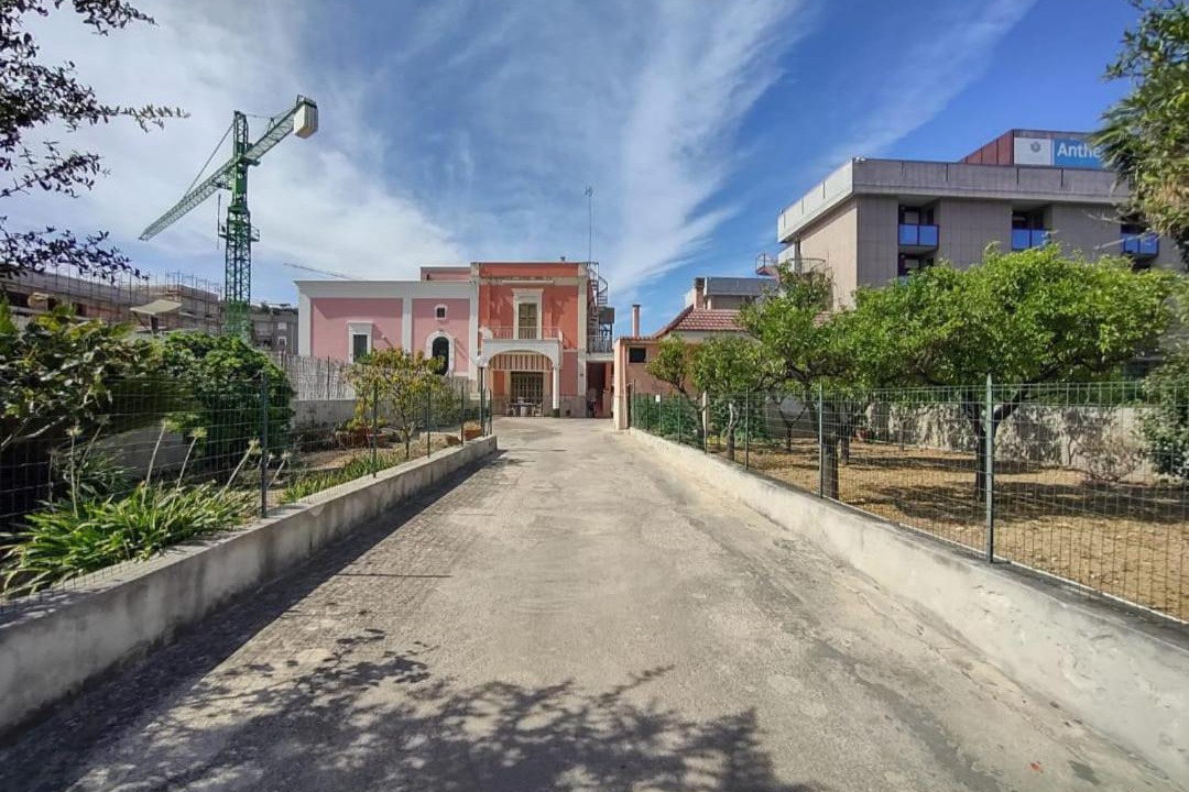 Photo of Others in Municipio 2