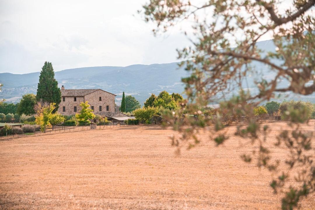 Photo of Others in Citta della Pieve
