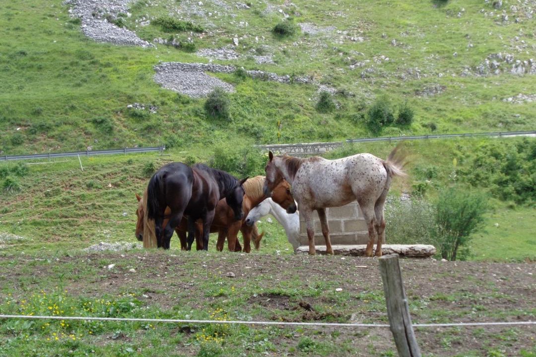 Photo of Others in Scanno