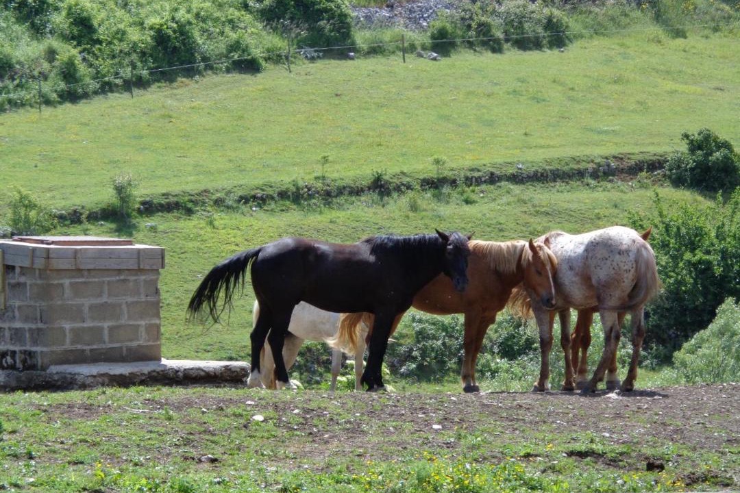 Photo of Others in Scanno