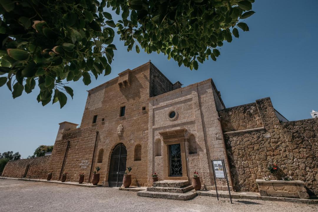 Photo of Others in Giorgilorio