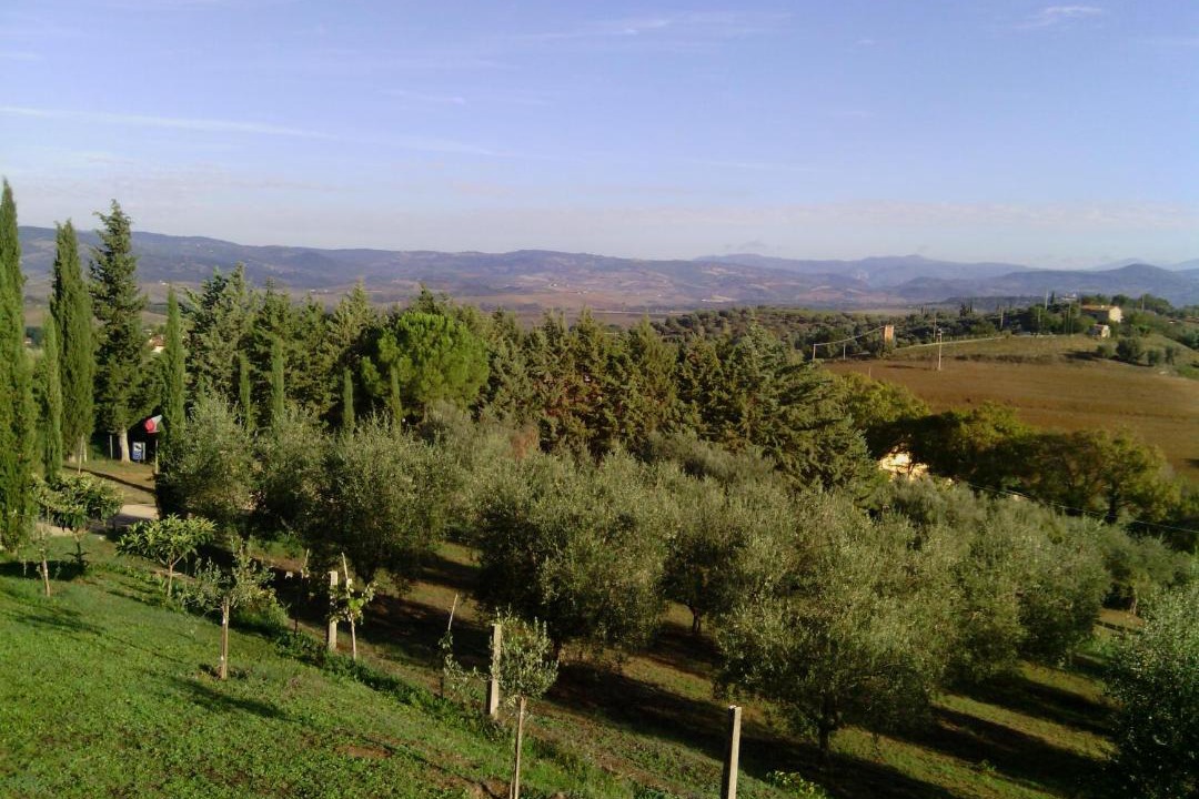Photo of Others in Montemerano