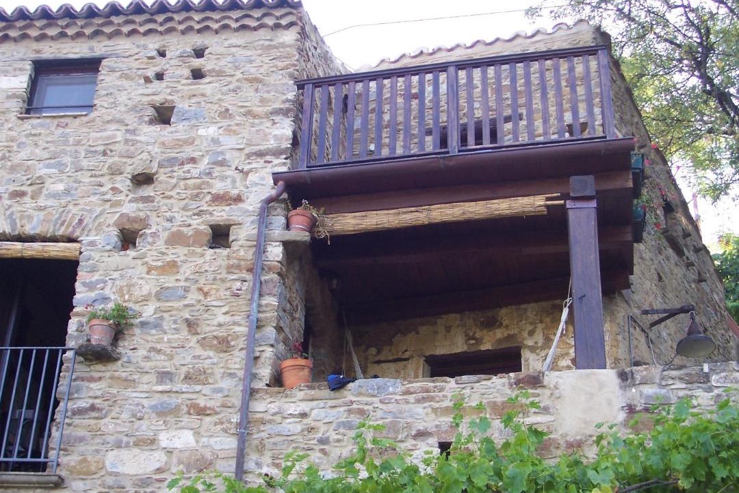 Photo of Others in Montecorice