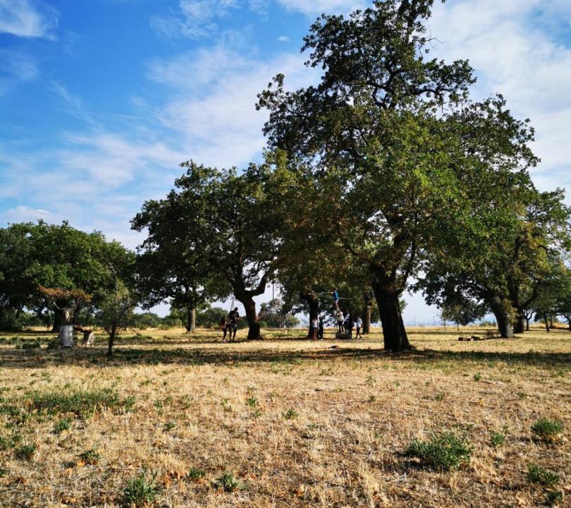 Photo of Others in Lucera
