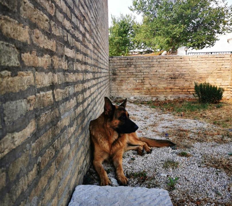 Photo of Others in Lucera
