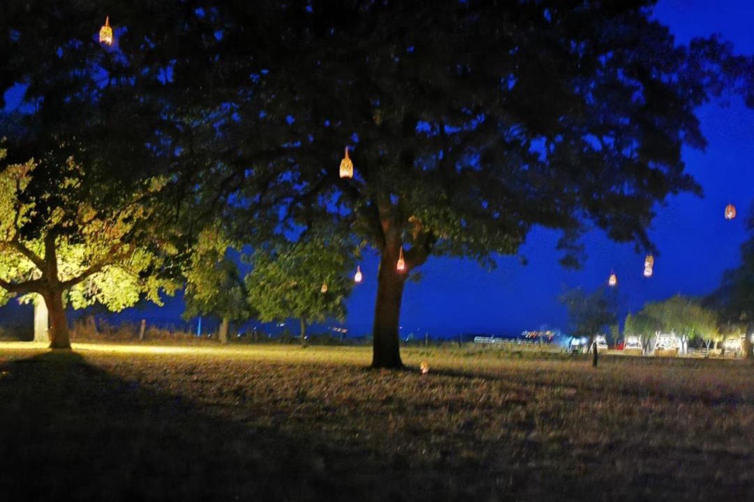 Photo of Others in Lucera