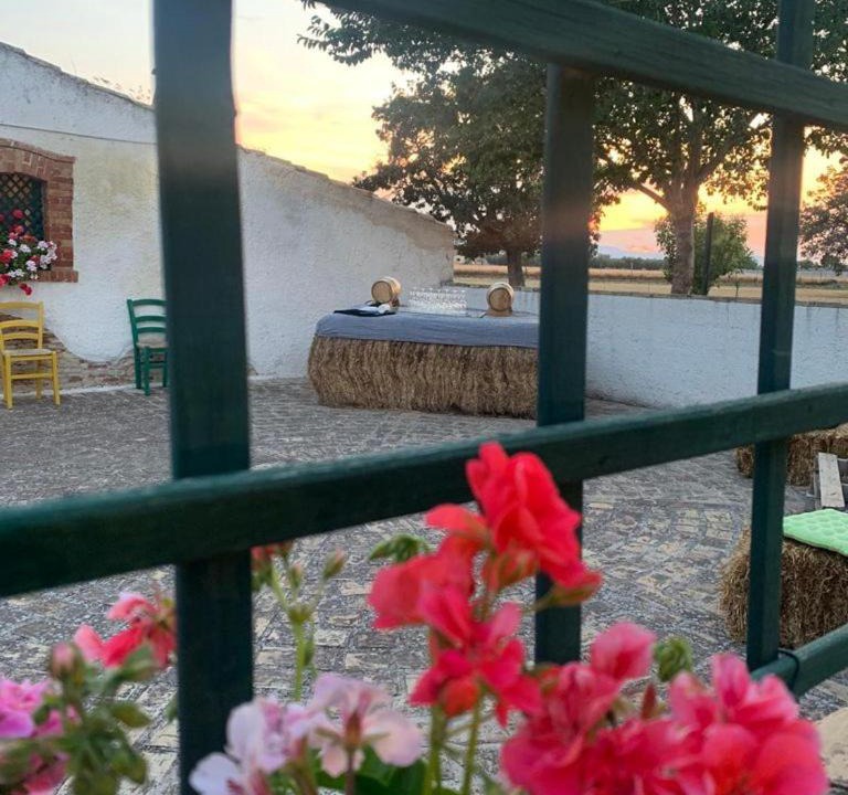 Photo of Others in Lucera