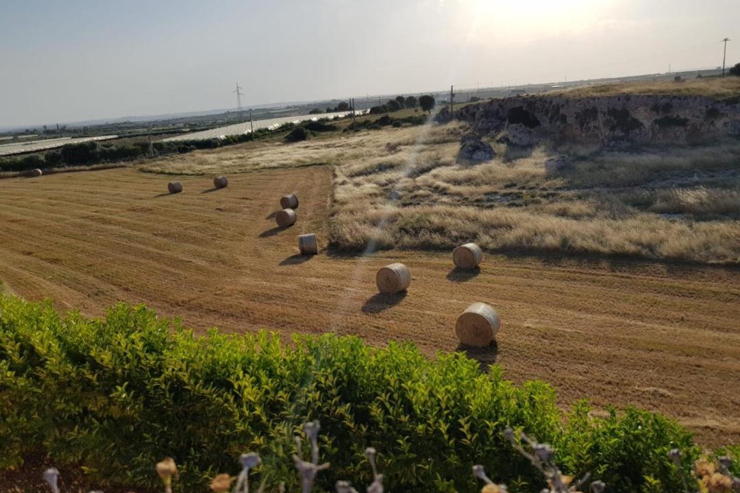 Photo of Outdoor in Grottaglie