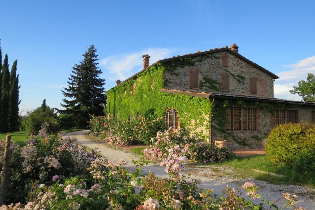 Photo of Others in San Venanzo