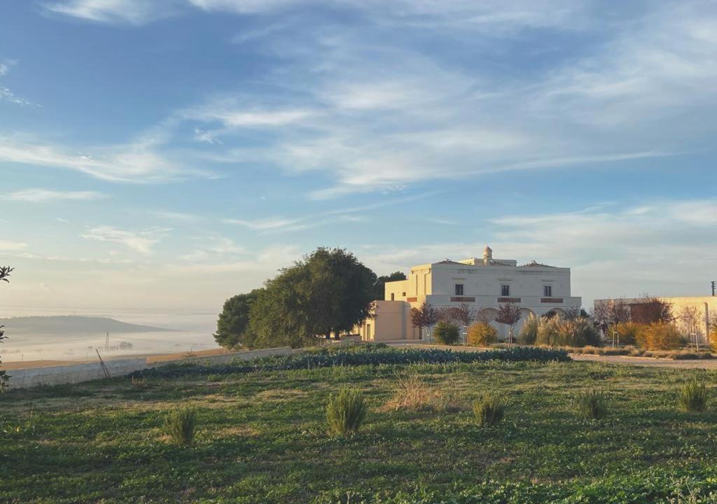 Photo of Others in Matera