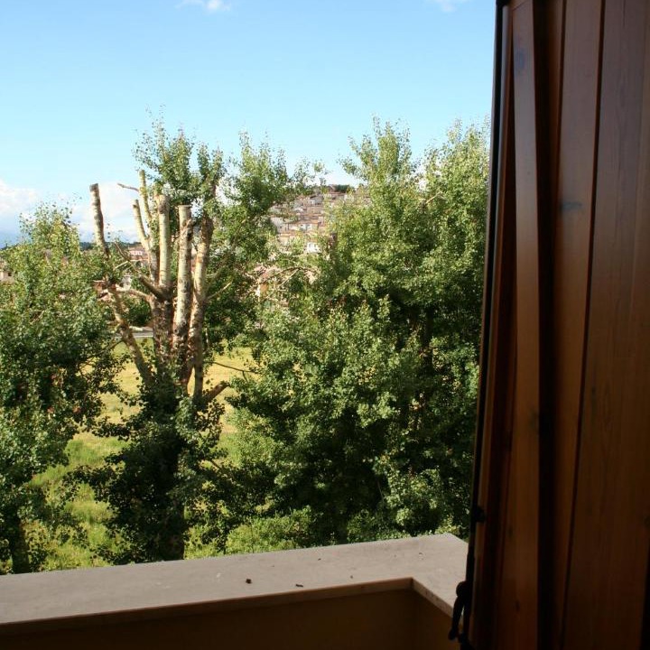 Photo of Others in Rovere