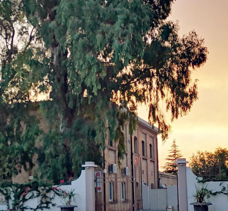 Photo of Others in Lucera