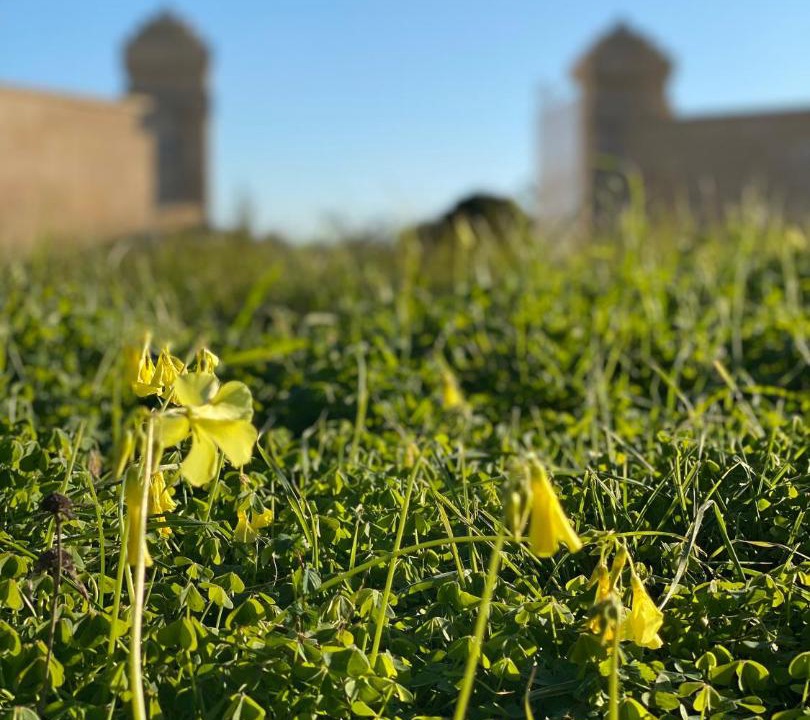 Photo of Others in Leverano
