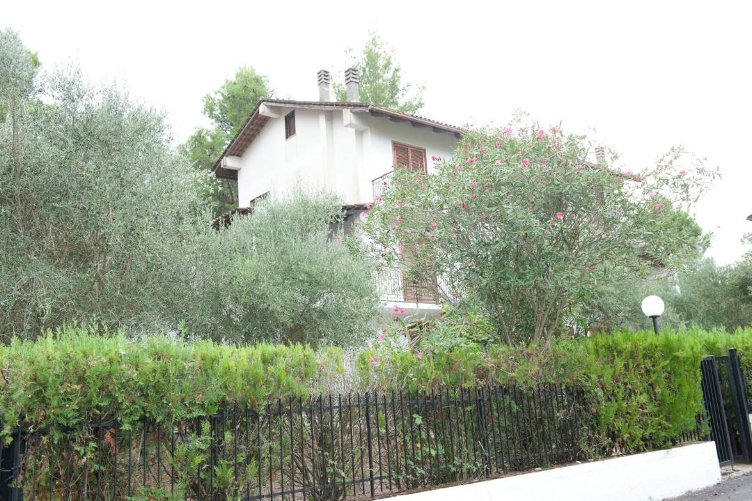 Photo of Others in Torchiara