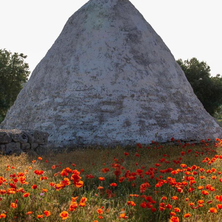 Photo of Others in Ostuni