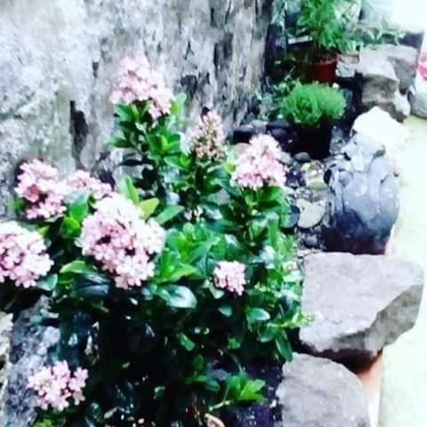 Photo of Others in Viterbo