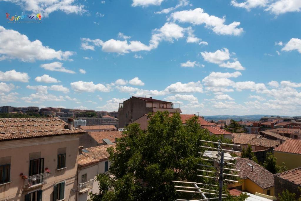 Photo of Others in Campobasso
