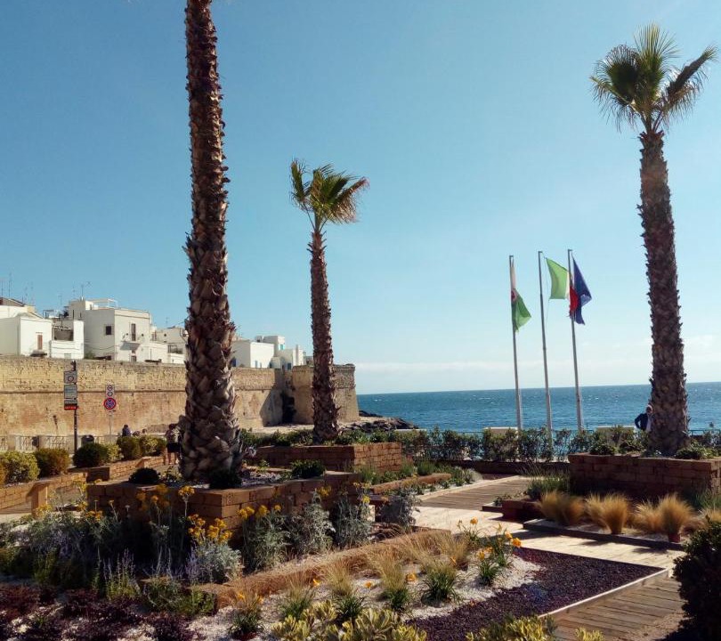 Photo of Others in Monopoli