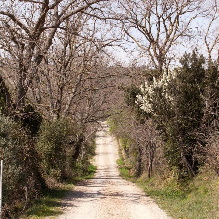 Photo of Others in Campagnatico
