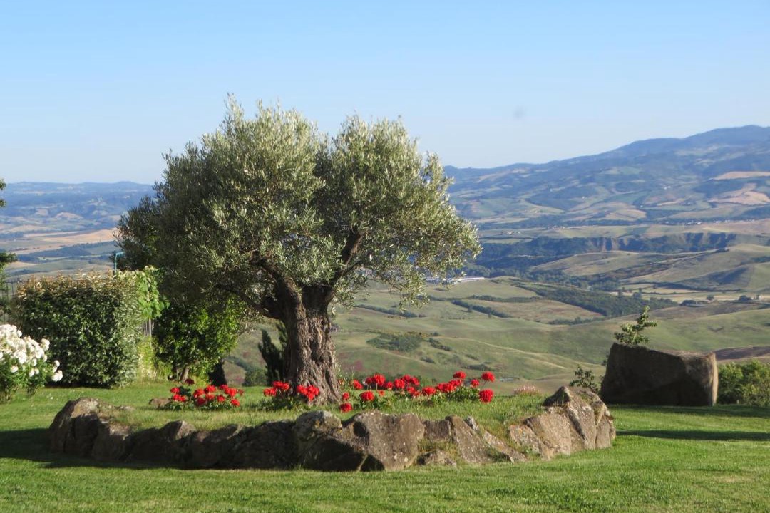 Photo of Others in Radicofani
