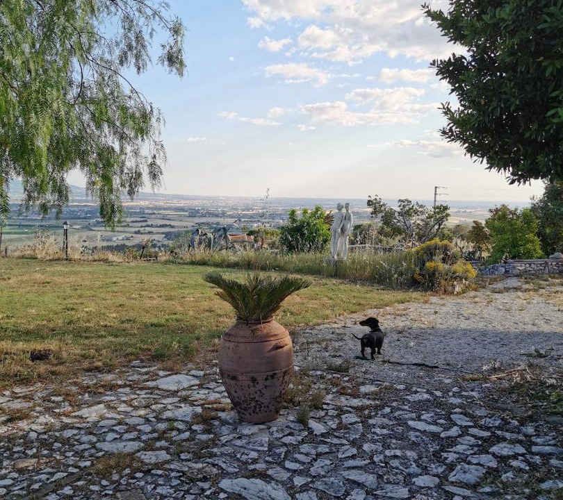 Photo of Others in Guidonia Montecelio