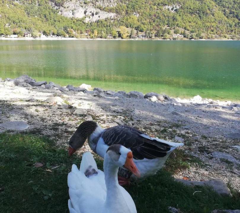 Photo of Others in Scanno