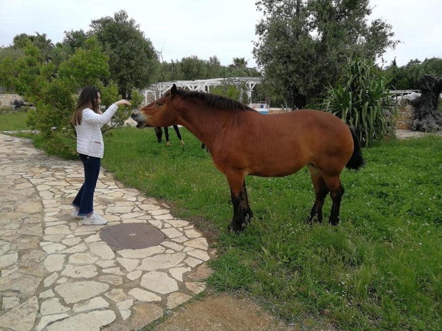 Photo of Others in Villa Castelli