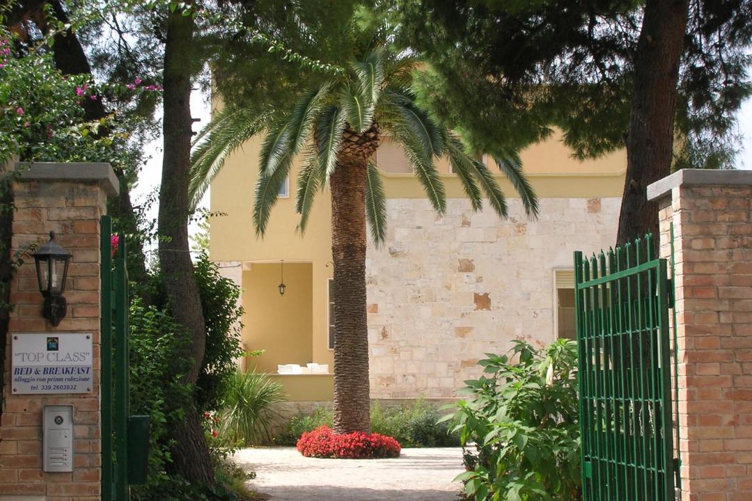 Photo of Others in Municipio 4