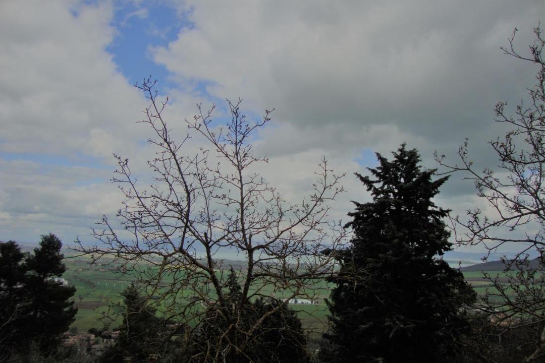 Photo of Outdoor in Panicale