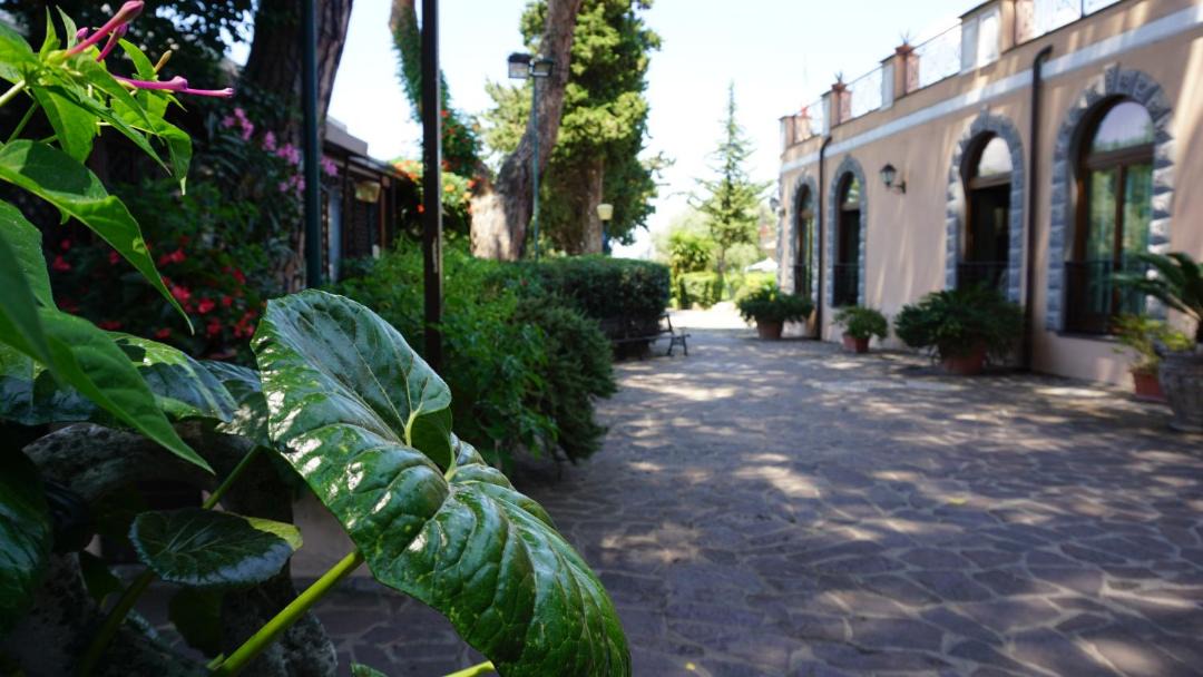 Photo of Others in Frascati