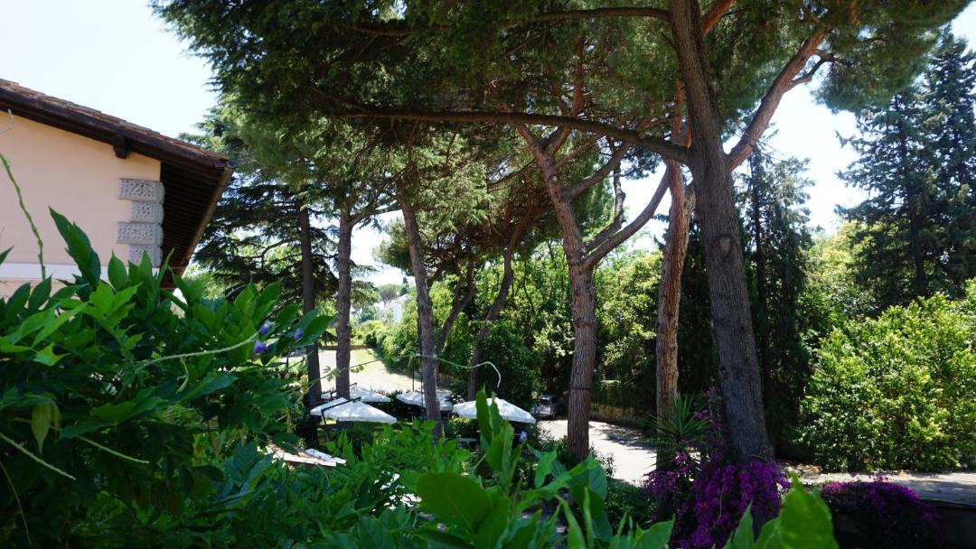 Photo of Others in Frascati