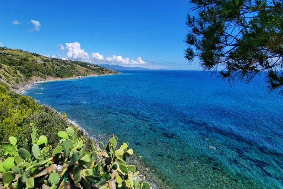 Photo of Others in Castelnuovo Cilento