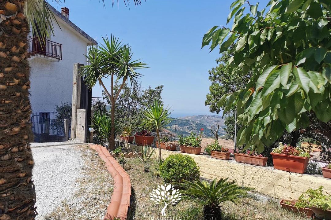 Photo of Others in Torchiara