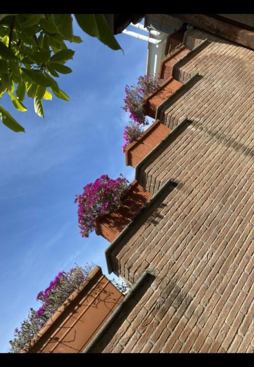 Photo of Buildings in Nettuno