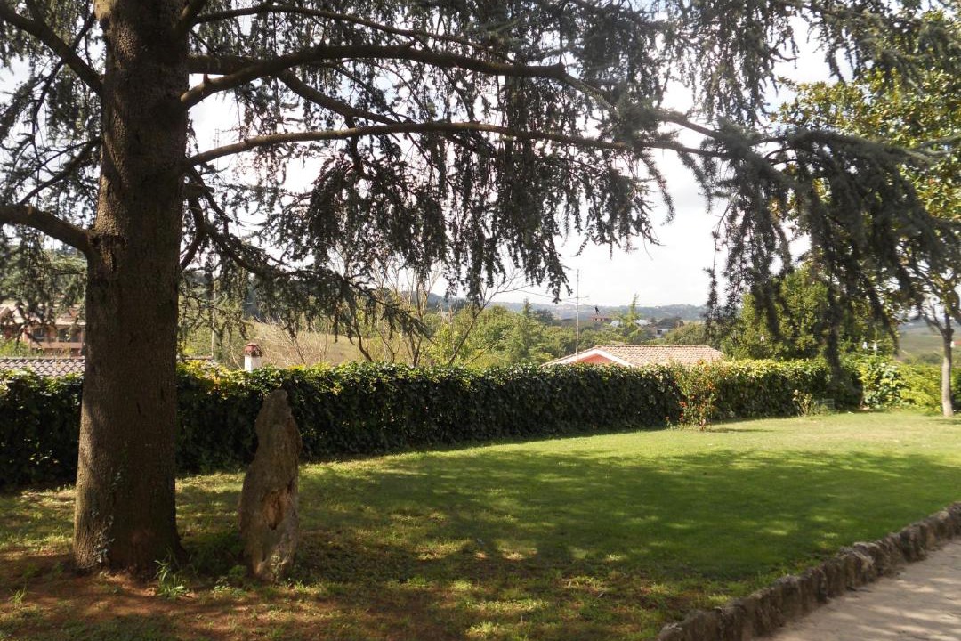 Photo of Others in Castelnuovo di Porto