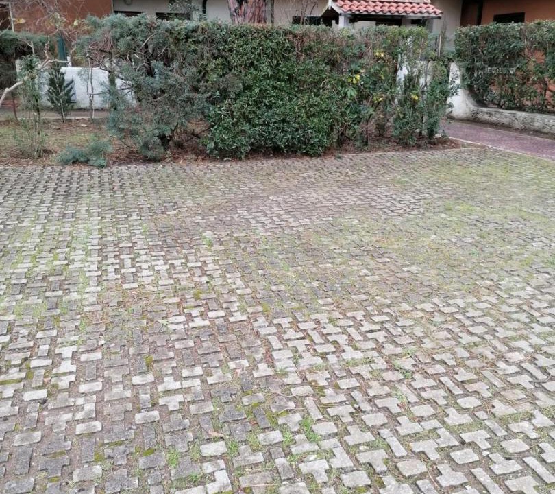 Photo of Others in Giannella