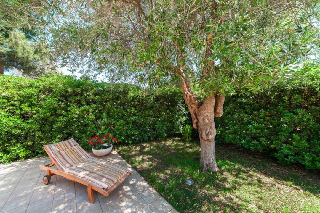 Photo of Patio Balcony in Rosa Marina