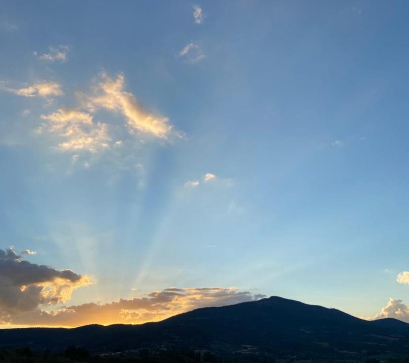 Photo of Others in Cetona