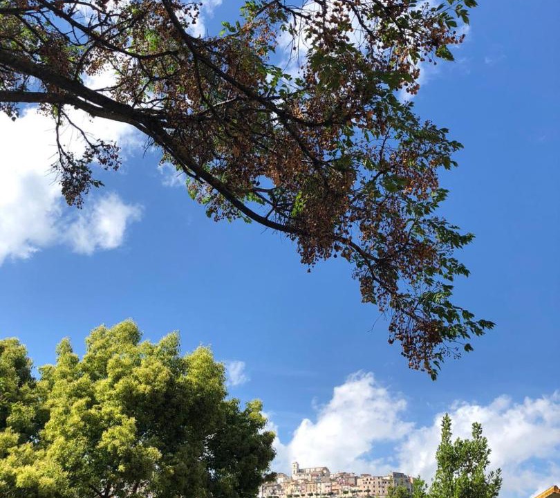 Photo of Others in Monte San Biagio