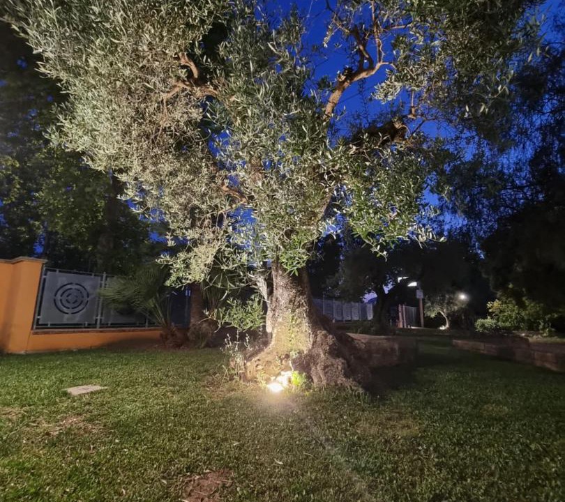 Photo of Outdoor in Monte San Biagio