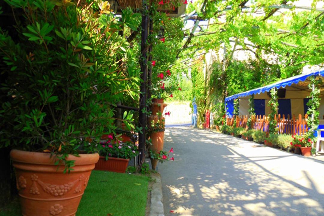 Photo of Others in Piano di Sorrento