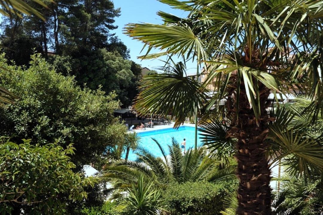 Photo of Others in Martina Franca
