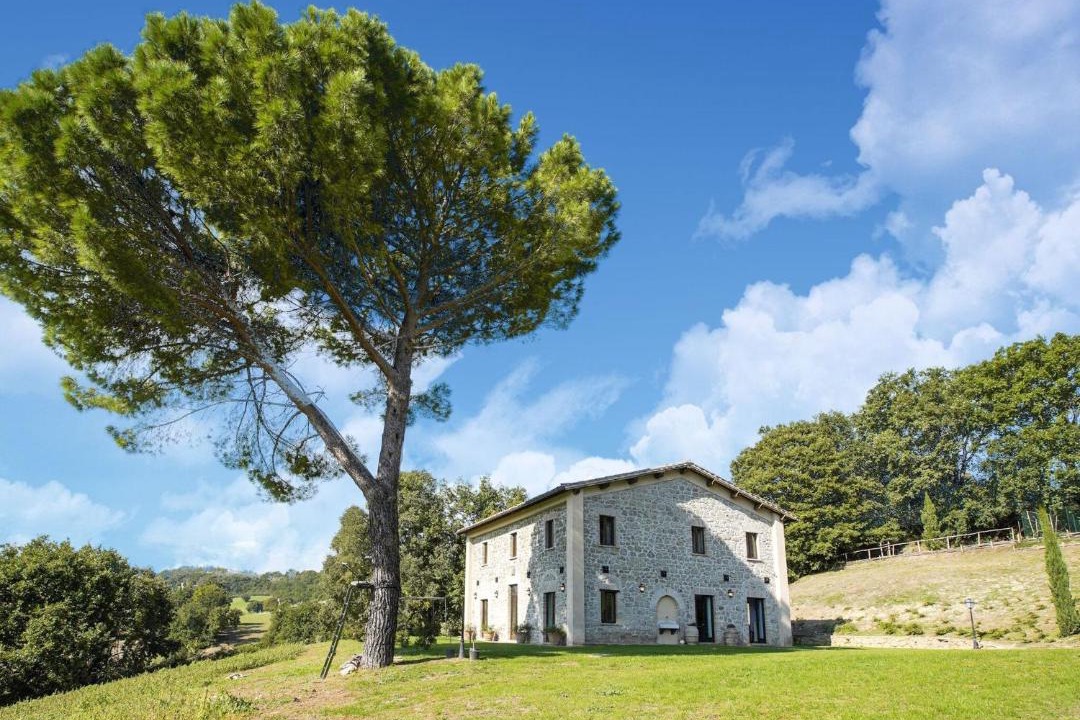 Photo of Others in Castiglione in Teverina