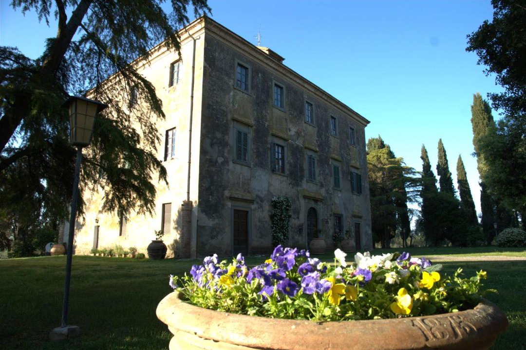 Photo of Others in Grosseto