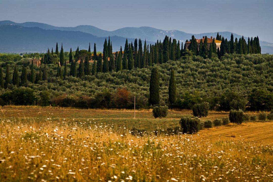 Photo of Others in Grosseto