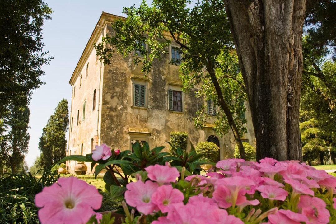 Photo of Others in Grosseto