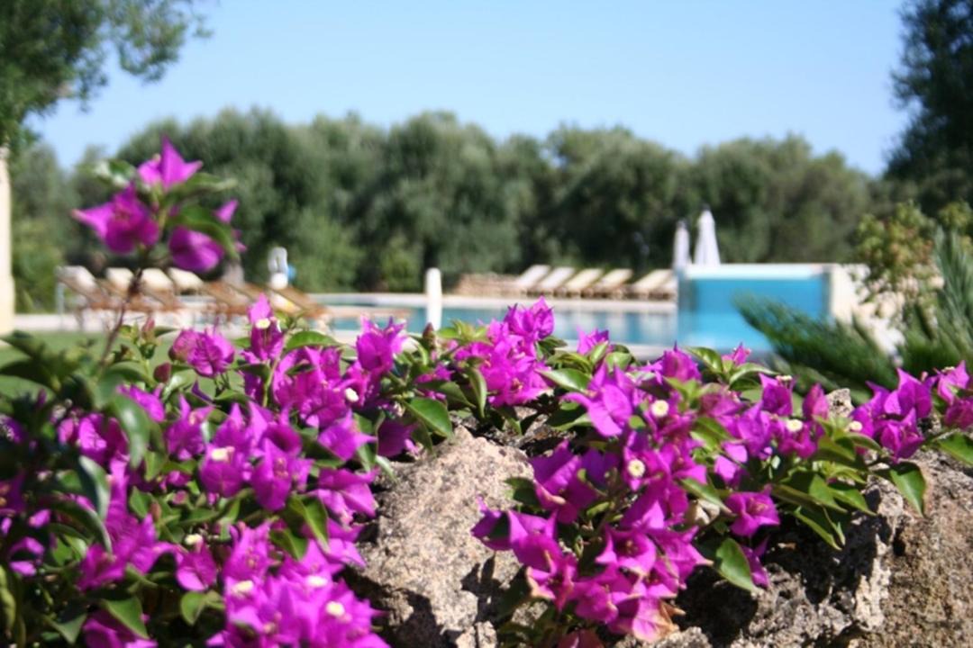 Photo of Others in Giorgilorio
